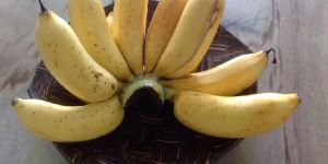 Fresh Rastali Banana