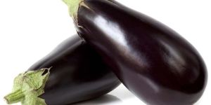Fresh Brinjal