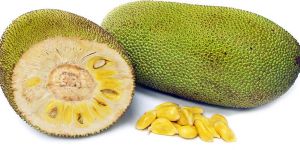 Fresh Jackfruit