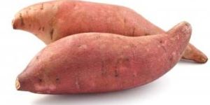 Fresh Sweet Potato