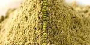 Coriander Powder