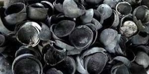 Coconut Shell Charcoal