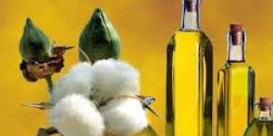 Cotton Seed Oil