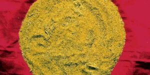 Turmeric Powder Waste