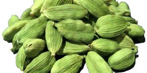 Cardamom