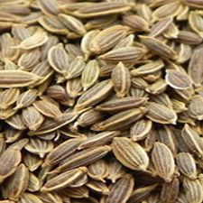 Dill Seeds