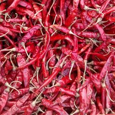 Dry Red Chilli