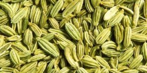 Fennel Seeds