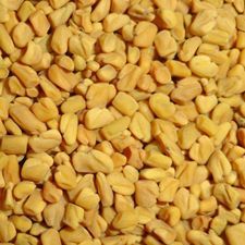 Fenugreek Seeds
