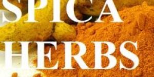 Turmeric Powder