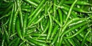 Fresh Green Chilli