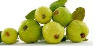 Fresh Guava