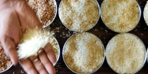 Printed Packaging Box