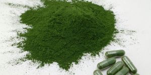 Spirulina Powder