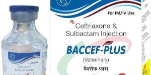 Baccef-Plus Injection