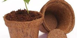 Coconut Coir