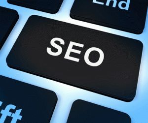Search Engine Optimization Services