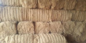 Coconut Fibers