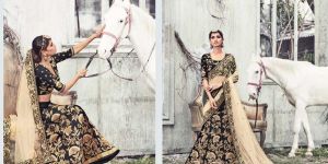 Radhika Fibers Black Color Half Net and Raw Silk Lehanga Saree