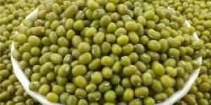 Green Mung Bean