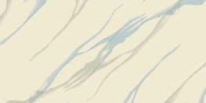 Double Charged Vitrified Tiles