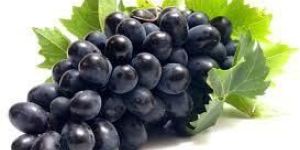 Fresh Grapes
