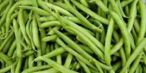 Fresh Green Beans