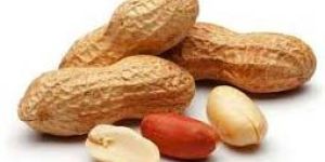 Shelled Groundnuts