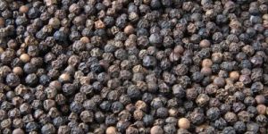 Black Pepper