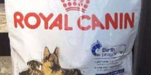 Royal Canin Maxi Starter Dry Dog Food