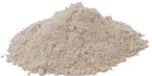 Dehydrated Onion Powder