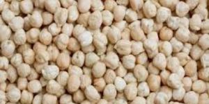 Chickpeas
