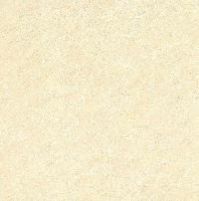 Double Charge Vitrified Tiles