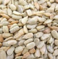 Sunflower Seed Kernel