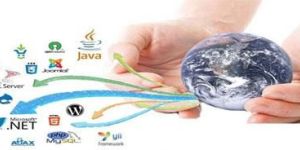 Custom Software Development Services