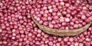 Fresh Red Onion
