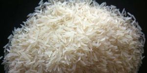 Pusa 1121 Rice