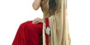 Ladies Designer Sarees
