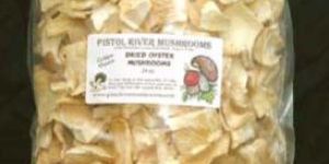 Dried Oyster Mushroom