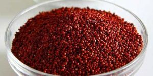 Finger Millet Seeds