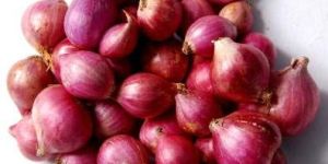 Red Onion