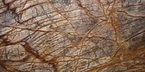 Forest Brown Marble Slabs