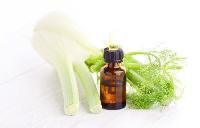 Fennel Oil