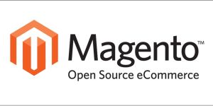 Magento Development Services