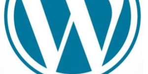 Wordpress Development Services