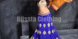 Blue Net Lehenga Choli