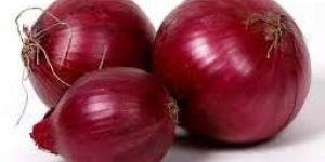 Fresh Red Onion