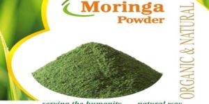 Moringa Powder