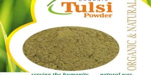 Tulsi Powder