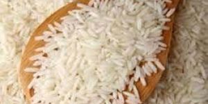 Non Basmati Rice